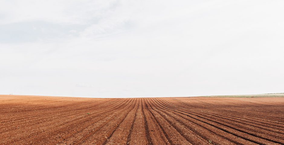 La sostenibilidad de la agricultura española