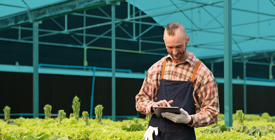 Innovación en el Sector Agroalimentario