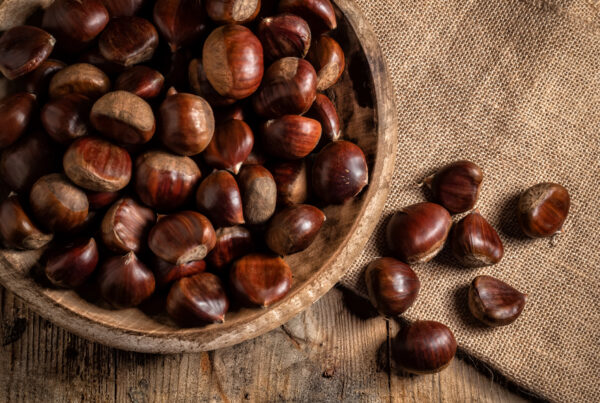 Las castañas de otoño, el superalimento de toda la vida