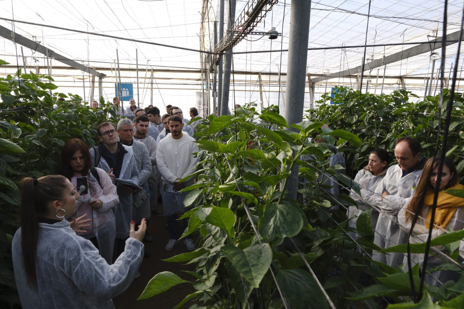 La Estación Experimental Cajamar organiza una jornada demostrativa del potencial de las tecnologías digitales en horticultura