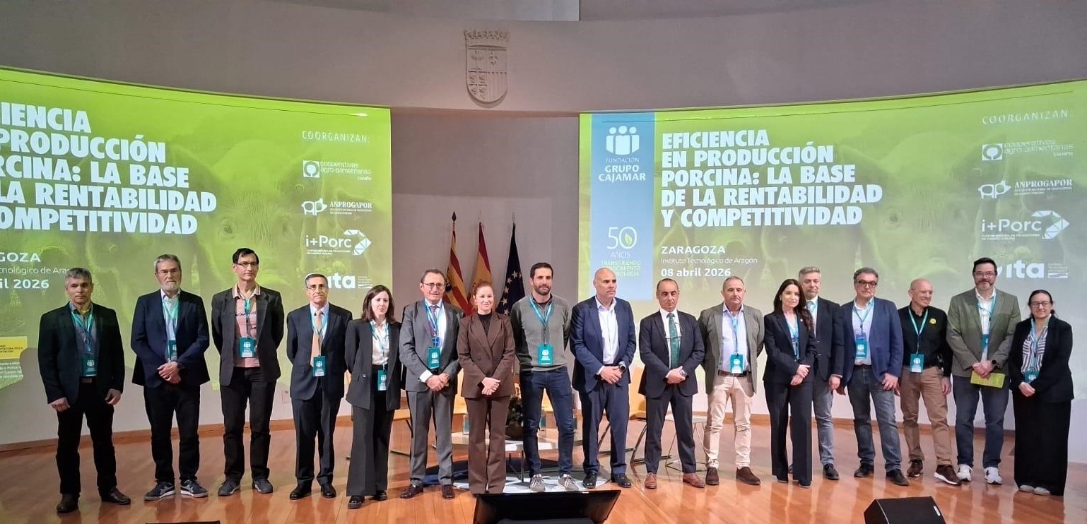 La eficiencia productiva refuerza la rentabilidad y la competitividad del sector porcino, según expertos y productores