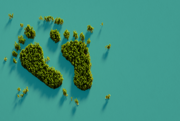 Medición de la huella de carbono_ el primer paso hacia una estrategia empresarial sostenible